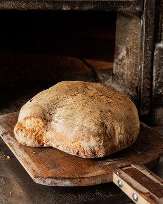 Pagnotta Pane Casareccio